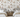 Peel and Stick or Traditional Woodland Forest Animals Nursery Baby Removable Wallpaper - Fox Hedgehog Squirrel Rabbit Bunny 3