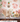 Peel and Stick or Traditional Wallpaper Watercolour Flower Peach and Pink Flowers - Magical Fairy Poppy Garden Pattern