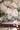 NEW! Peel and Stick Jungle Safari Animals Nursery Baby Removable and traditional Wallpaper - Lion Cub Elephant Giraffe Parrot