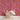 Pink Fairy Flower Pattern - Retro Flower Pattern Wallpaper Mural - Removable Wall decor - Nursery, Baby Girl 3