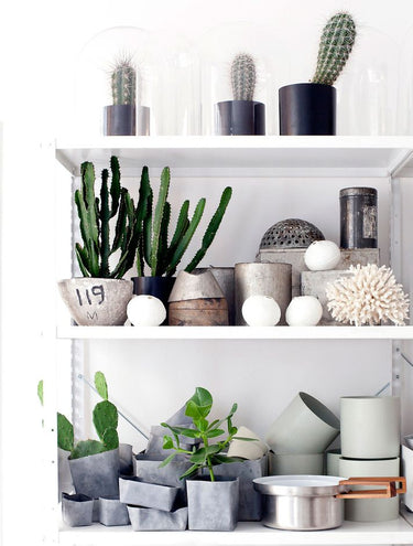Planters + Vases