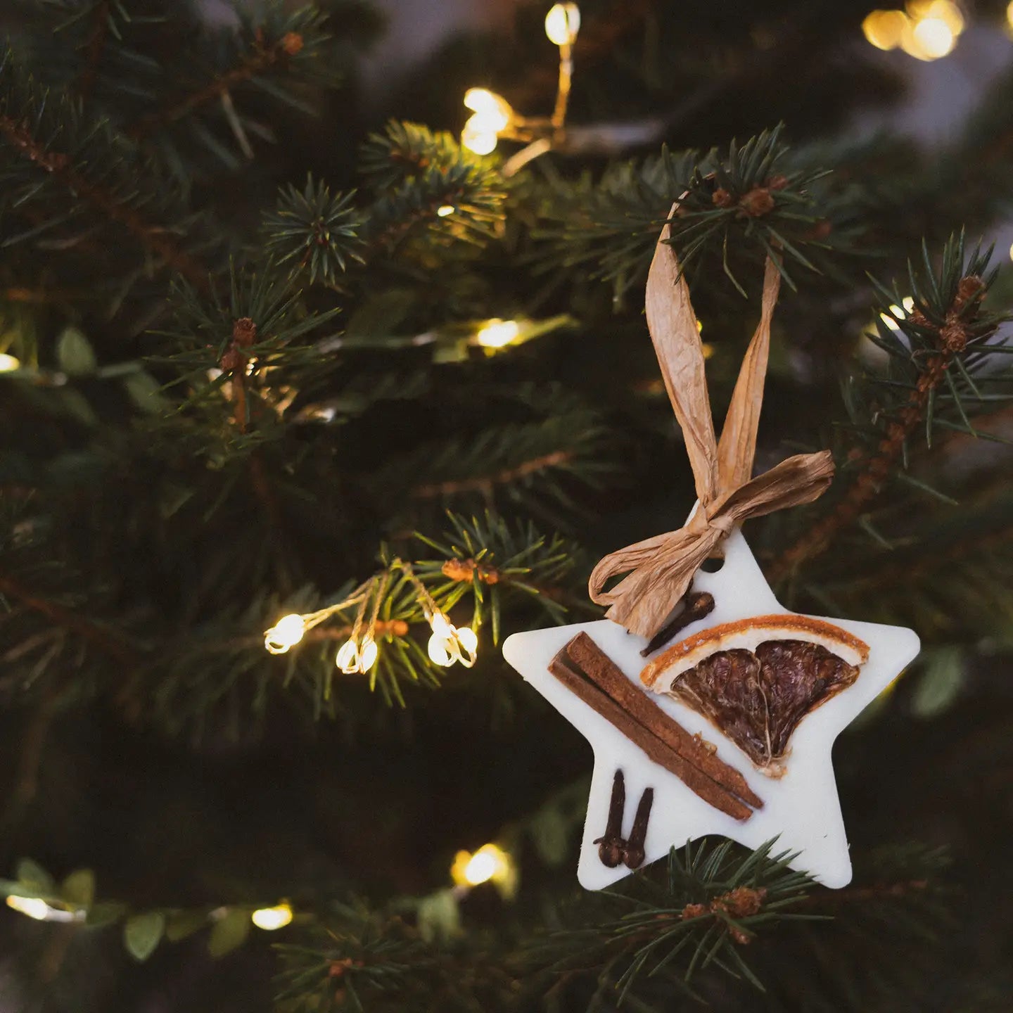 Christmas Scented Tree Decorations - STAR 1