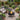 Fire Pit with Poker 70 cm XXL Steel - Stars and Moon Celestial 2