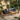 6 Piece Solid Acacia Wood Rope Garden Dining Chair Set Natural Outdoor Patio BLACK