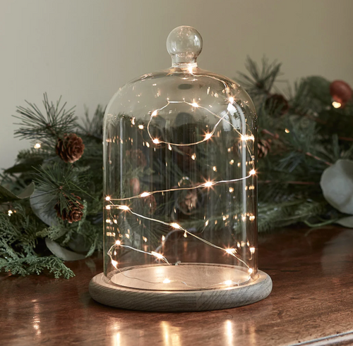 Large Vintage Glass Display Cloche Bell Jar Dome with Wooden Base - Copper Lights included - AAA Batteries required