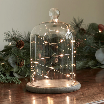 Large Vintage Glass Display Cloche Bell Jar Dome with Wooden Base - Copper Lights included - AAA Batteries required