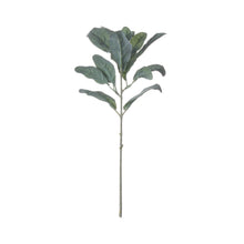 X5 Lambs Ear Sprays