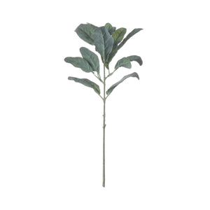 X5 Lambs Ear Sprays