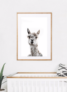 Llama / Alpaca Animal Print UNFRAMED PRINT