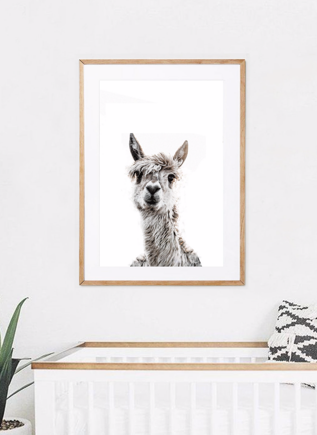 Llama / Alpaca Animal Print UNFRAMED PRINT