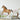 Horse and Pony Wall Peel and Stick Removable Decals Watercolour Art