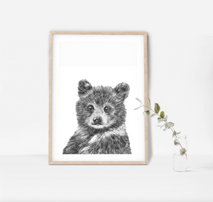 Hand drawn Baby Bear Cub PRINT ONLY UNFRAMED