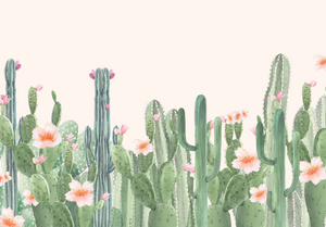 Peel and Stick CACTUS Blossom Wallpaper Watercolour Flower Pink Peach