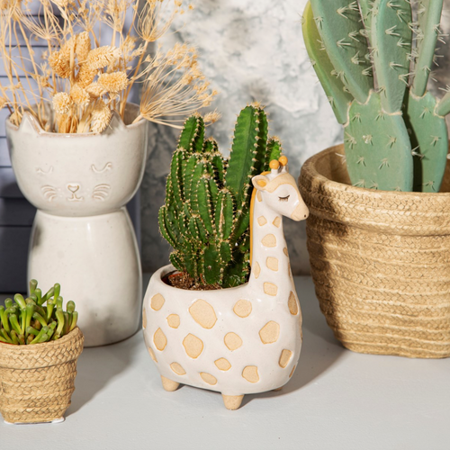 Giraffe planter plant pot succulent cactus cute gift