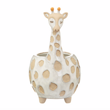 Giraffe planter plant pot succulent cactus cute gift