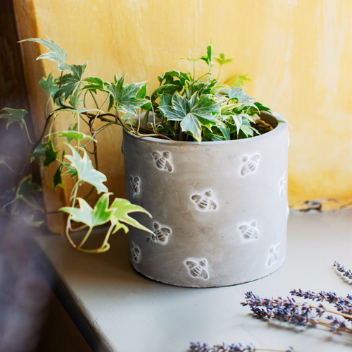 QUEEN BEE CEMENT PLANTER