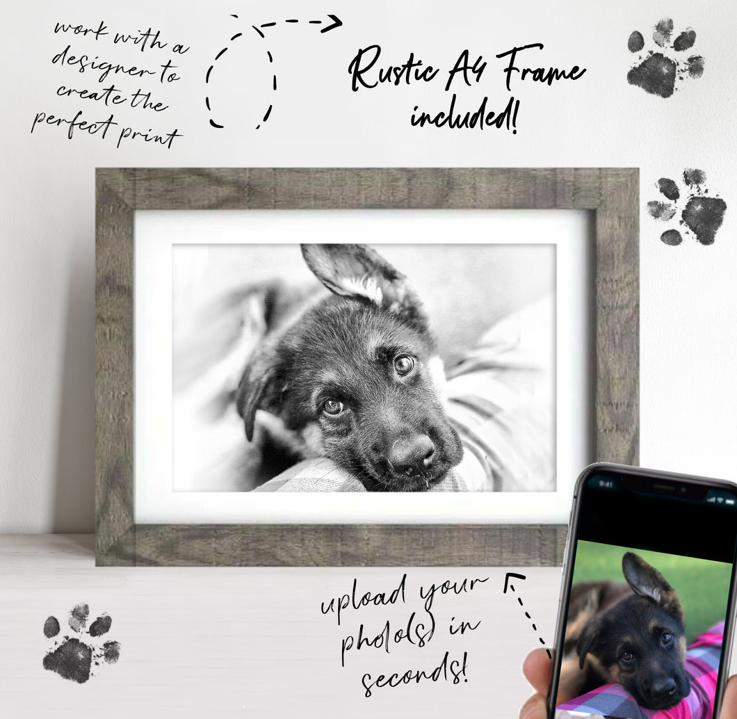 Personalised Rustic Farmhouse Pet Portrait FRAMED A4 - Hand Sketched Effect