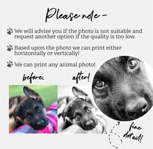 Personalised Rustic Farmhouse Pet Portrait FRAMED A4 - Hand Sketched Effect