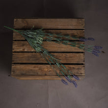 x 3 Large Lavender Spray