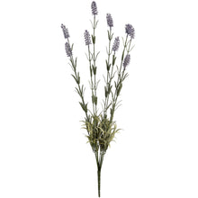x 3 Large Lavender Spray