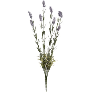 x 3 Large Lavender Spray